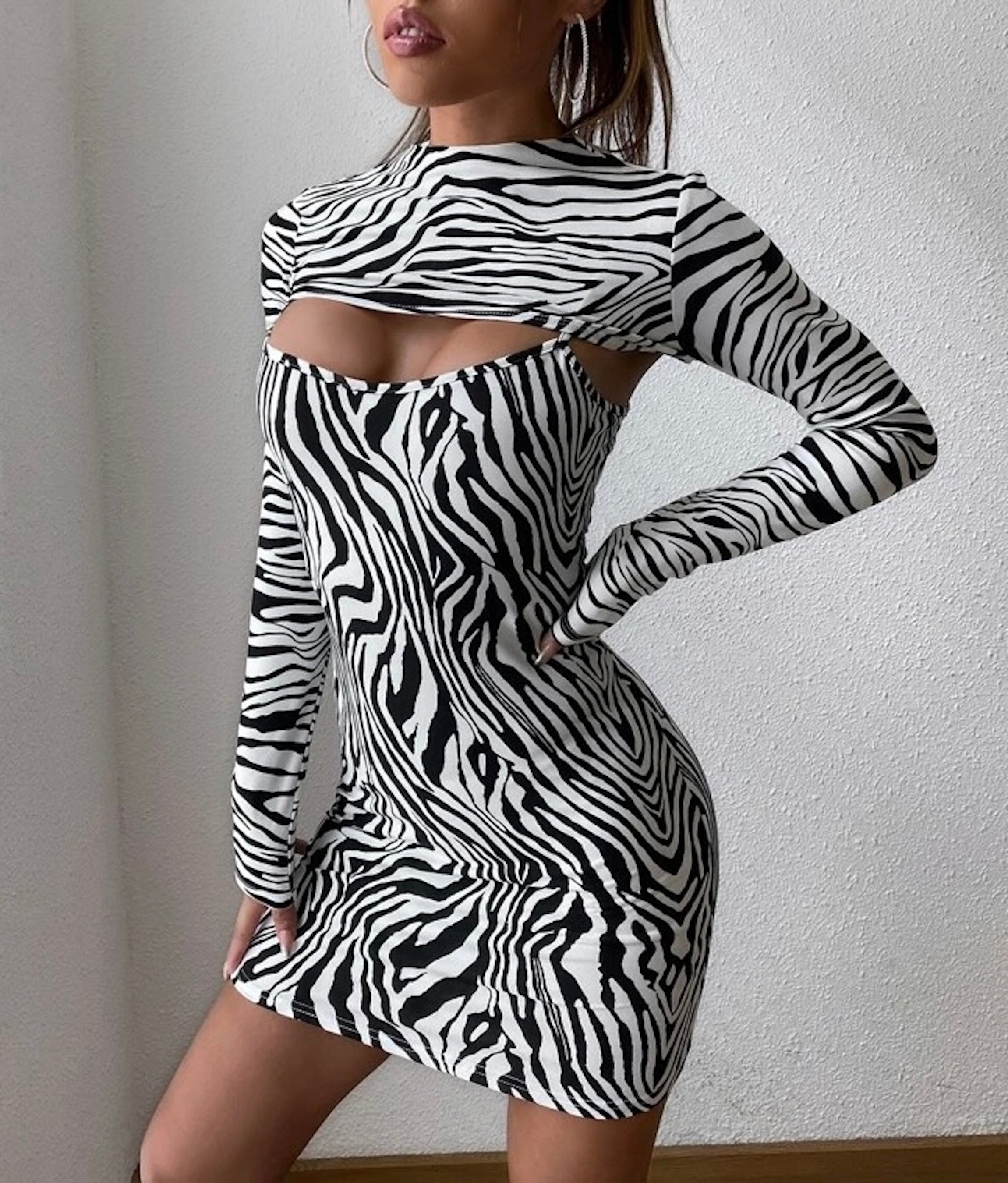 Clothes and You Zebra Striped Super Crop Top & Cami Dress
